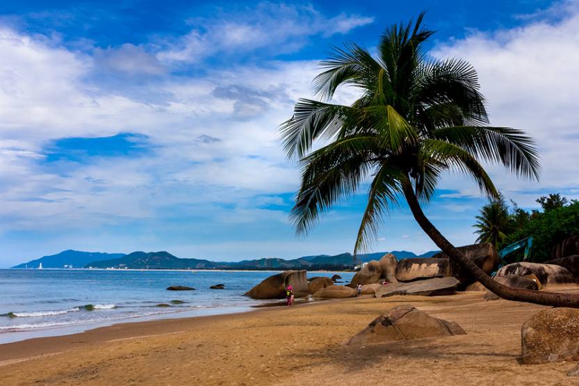 <b>������������</b>